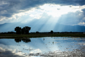 Reflecting Sun's Rays Would Cause Crops to Fail, Scientists Warn